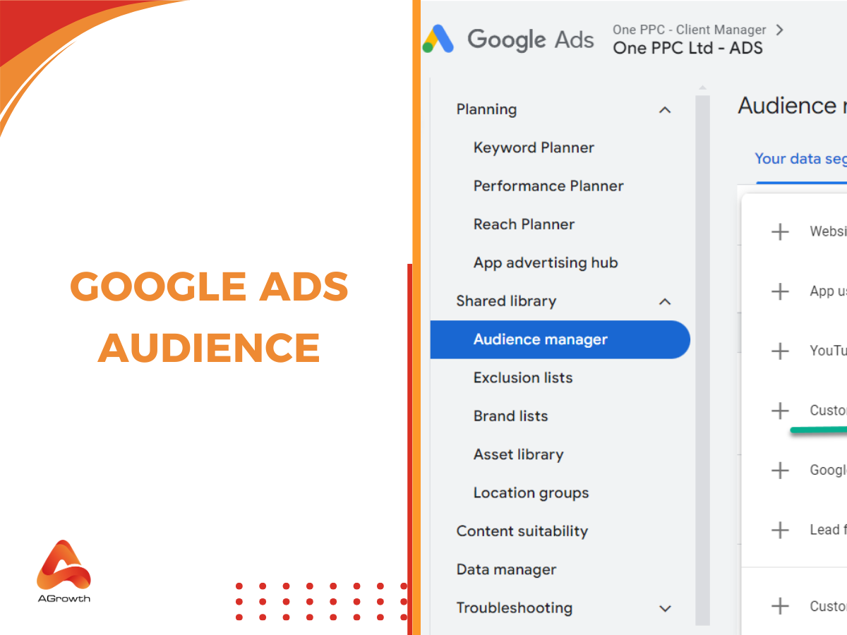 Google ads audience