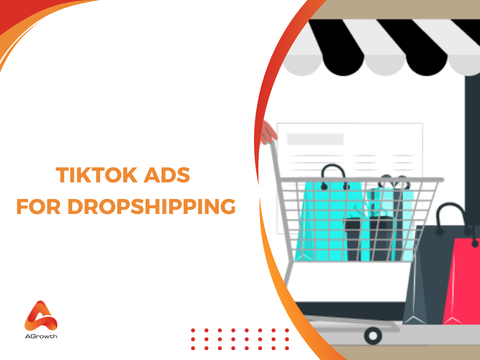 TikTok Ads for Dropshipping: Best Ad Types, Setup & Strategy