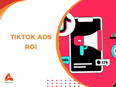 TikTok Ads ROI