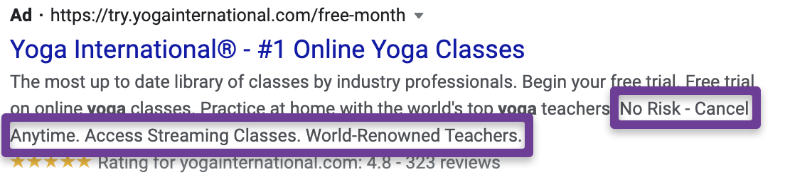 Google callout extension