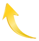 Growth-Focused Firms