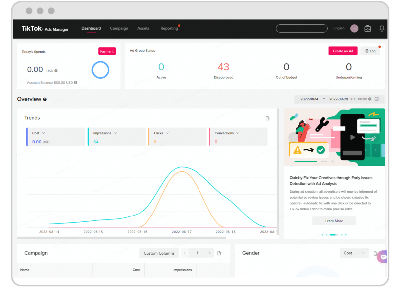Check TikTok account dashboard