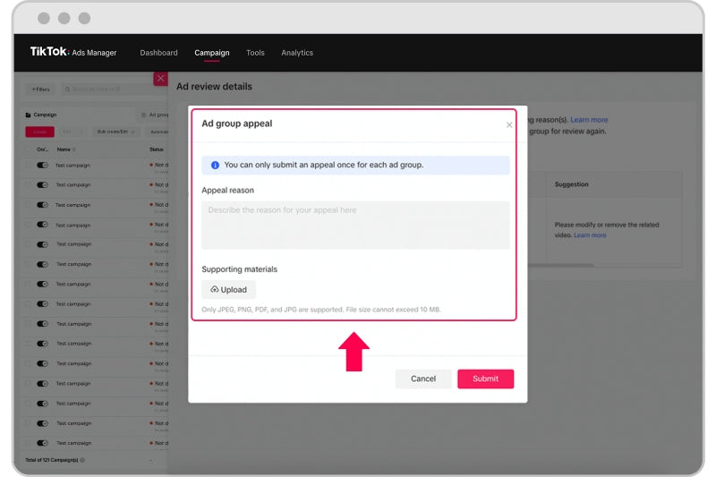 TikTok business support