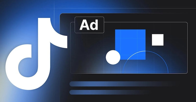 TikTok Ads ROI