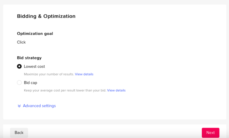 Optimization and bidding strategy for TikTok targeting