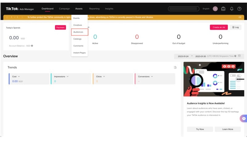 Go to Lookalike Audience asset